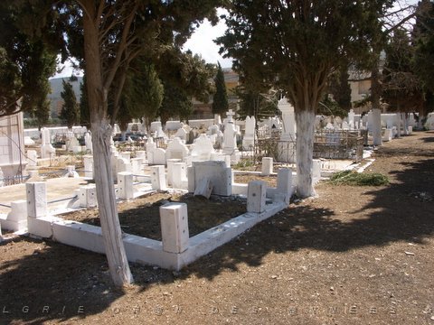 BOU SFER CIMETIERE 2006  N03 ENTRETENU.JPG